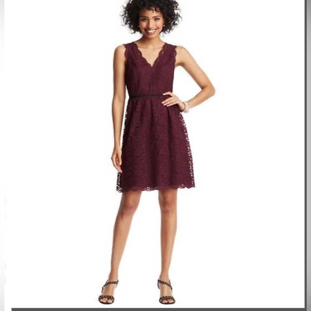 LOFT Scalloped Sleeveless Lace Dress
